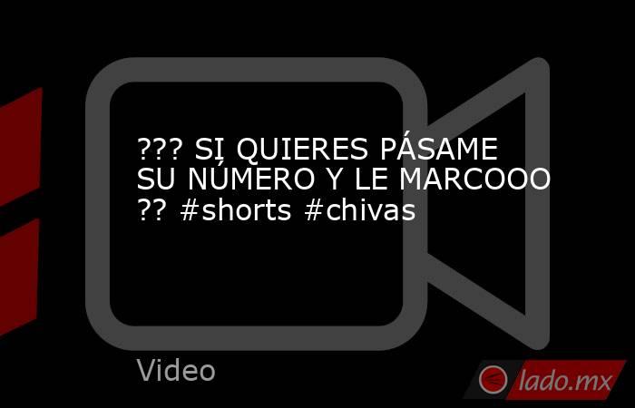 ??? SI QUIERES PÁSAME SU NÚMERO Y LE MARCOOO ?? #shorts #chivas. Noticias en tiempo real