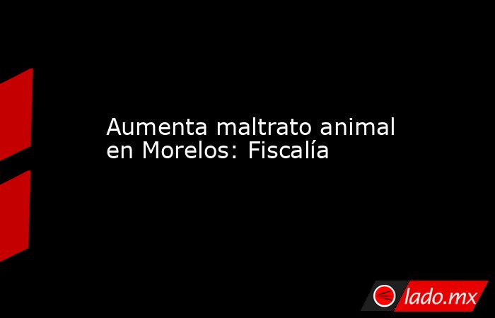 Aumenta maltrato animal en Morelos: Fiscalía. Noticias en tiempo real