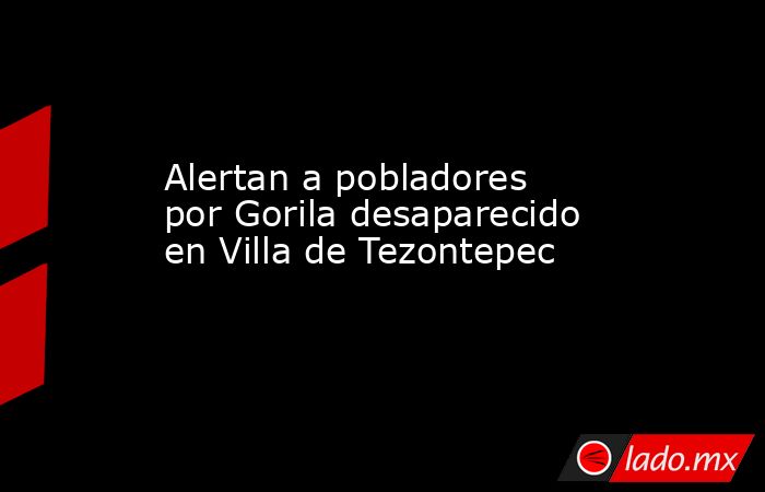 Alertan a pobladores por Gorila desaparecido en Villa de Tezontepec. Noticias en tiempo real