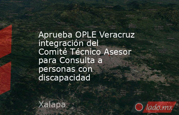 Aprueba OPLE Veracruz integración del Comité Técnico Asesor para Consulta a personas con discapacidad. Noticias en tiempo real