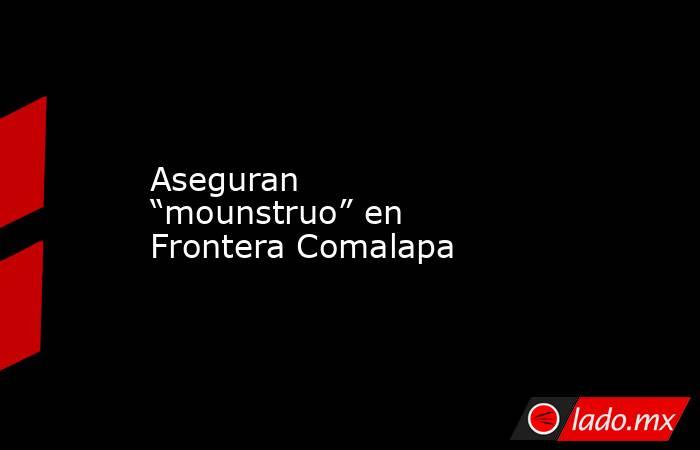 Aseguran “mounstruo” en Frontera Comalapa. Noticias en tiempo real