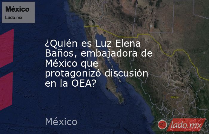 ¿Quién es Luz Elena Baños, embajadora de México que protagonizó discusión en la OEA?. Noticias en tiempo real