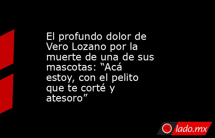 El profundo dolor de Vero Lozano por la muerte de una de sus mascotas: “Acá estoy, con el pelito que te corté y atesoro”. Noticias en tiempo real