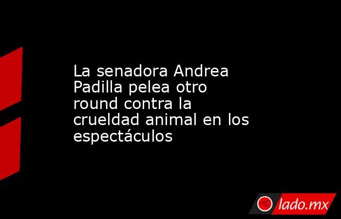 La senadora Andrea Padilla pelea otro round contra la crueldad animal en los espectáculos. Noticias en tiempo real