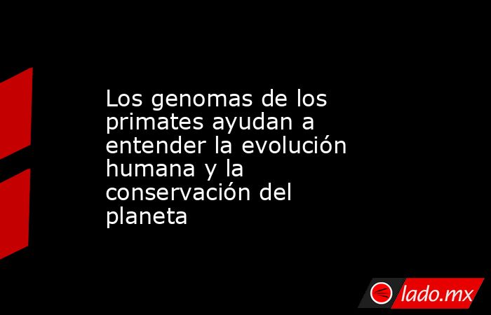 Los genomas de los primates ayudan a entender la evolución humana y la conservación del planeta. Noticias en tiempo real