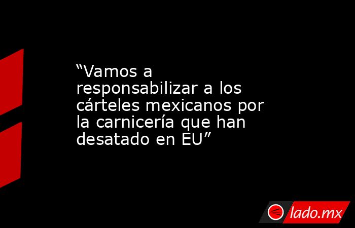 “Vamos a responsabilizar a los cárteles mexicanos por la carnicería que han desatado en EU”. Noticias en tiempo real