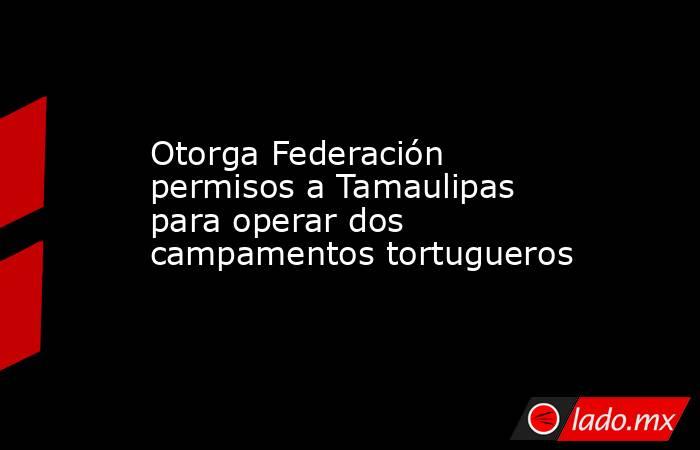 Otorga Federación permisos a Tamaulipas para operar dos campamentos tortugueros. Noticias en tiempo real