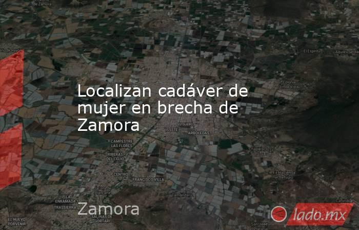 Localizan cadáver de mujer en brecha de Zamora. Noticias en tiempo real