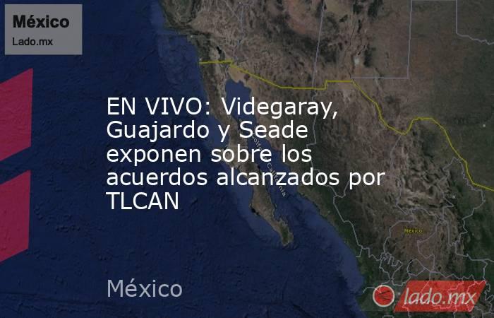 EN VIVO: Videgaray, Guajardo y Seade exponen sobre los acuerdos alcanzados por TLCAN. Noticias en tiempo real
