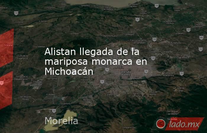 Alistan llegada de la mariposa monarca en Michoacán. Noticias en tiempo real