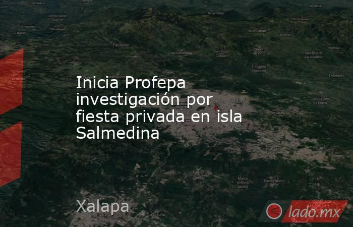 Inicia Profepa investigación por fiesta privada en isla Salmedina. Noticias en tiempo real