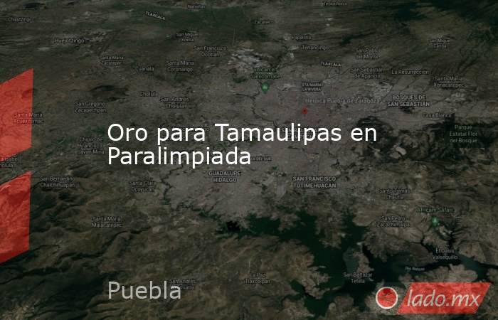 Oro para Tamaulipas en Paralimpiada. Noticias en tiempo real