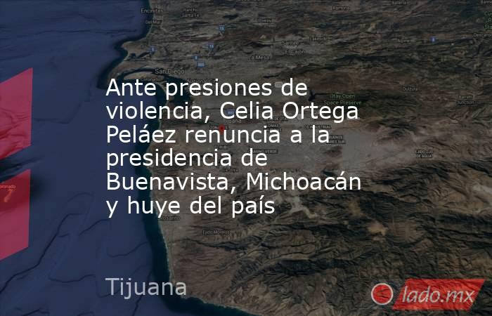 Ante presiones de violencia, Celia Ortega Peláez renuncia a la presidencia de Buenavista, Michoacán y huye del país. Noticias en tiempo real