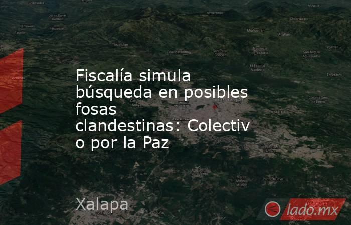 Fiscalía simula búsqueda en posibles fosas clandestinas: Colectivo por la Paz. Noticias en tiempo real