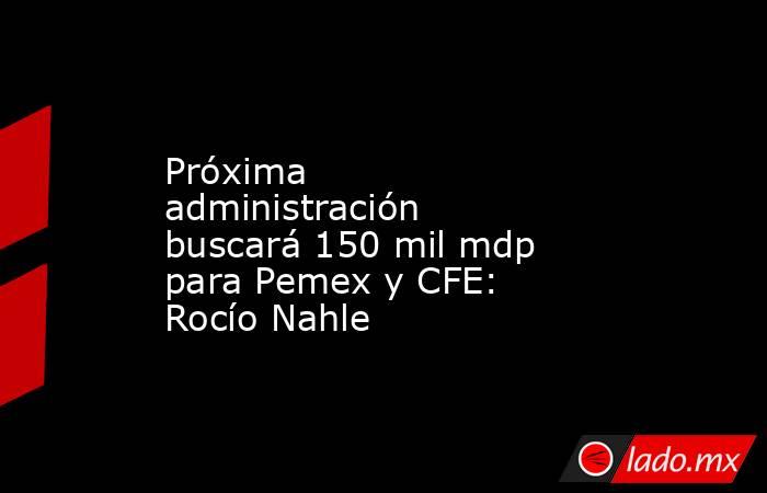 Próxima administración buscará 150 mil mdp para Pemex y CFE: Rocío Nahle. Noticias en tiempo real