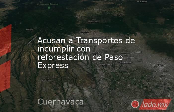 Acusan a Transportes de incumplir con reforestación de Paso Express. Noticias en tiempo real