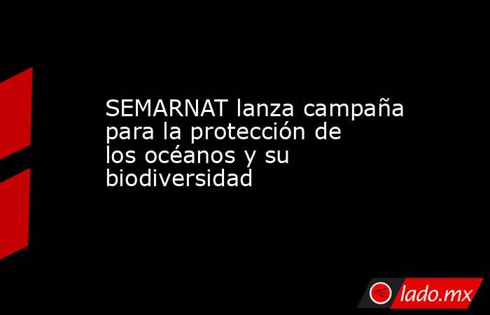 SEMARNAT lanza campaña para la protección de los océanos y su biodiversidad. Noticias en tiempo real