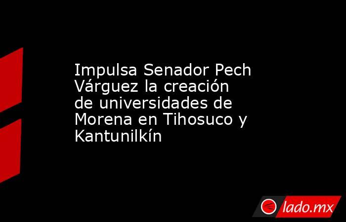 Impulsa Senador Pech Várguez la creación de universidades de Morena en Tihosuco y Kantunilkín. Noticias en tiempo real