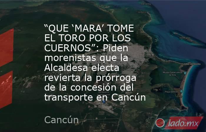 “QUE ‘MARA’ TOME EL TORO POR LOS CUERNOS”: Piden morenistas que la Alcaldesa electa revierta la prórroga de la concesión del transporte en Cancún. Noticias en tiempo real