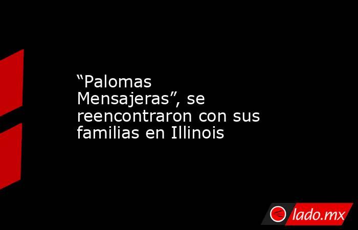 “Palomas Mensajeras”, se reencontraron con sus familias en Illinois. Noticias en tiempo real