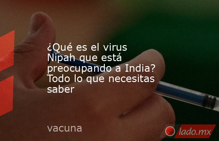 ¿Qué es el virus Nipah que está preocupando a India? Todo lo que necesitas saber. Noticias en tiempo real