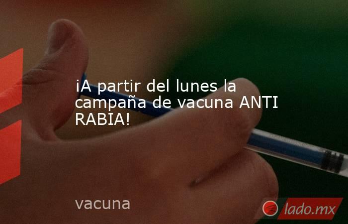 ¡A partir del lunes la campaña de vacuna ANTI RABIA!. Noticias en tiempo real