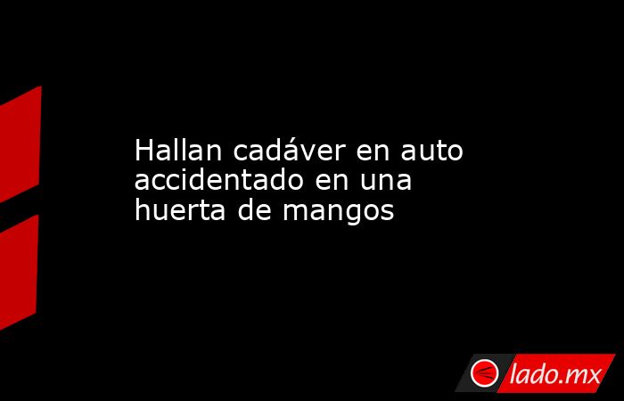 Hallan cadáver en auto accidentado en una huerta de mangos. Noticias en tiempo real