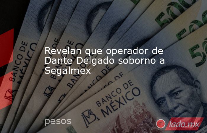 Revelan que operador de Dante Delgado soborno a Segalmex. Noticias en tiempo real