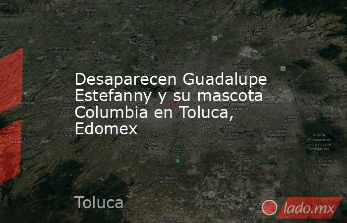Desaparecen Guadalupe Estefanny y su mascota Columbia en Toluca, Edomex. Noticias en tiempo real