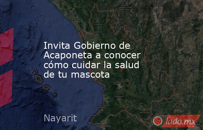 Invita Gobierno de Acaponeta a conocer cómo cuidar la salud de tu mascota. Noticias en tiempo real