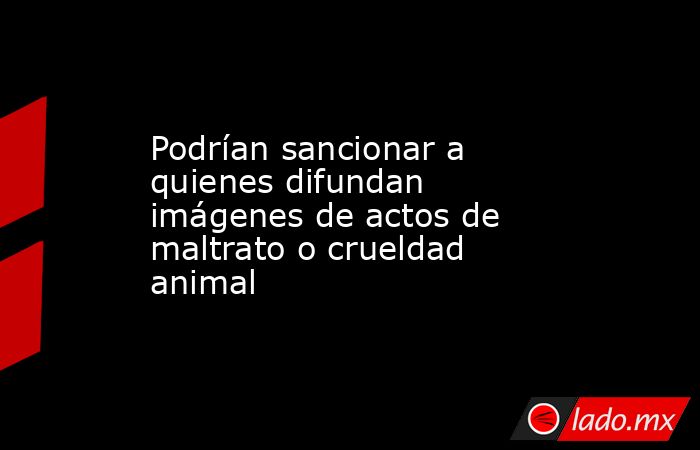 Podrían sancionar a quienes difundan imágenes de actos de maltrato o crueldad animal. Noticias en tiempo real