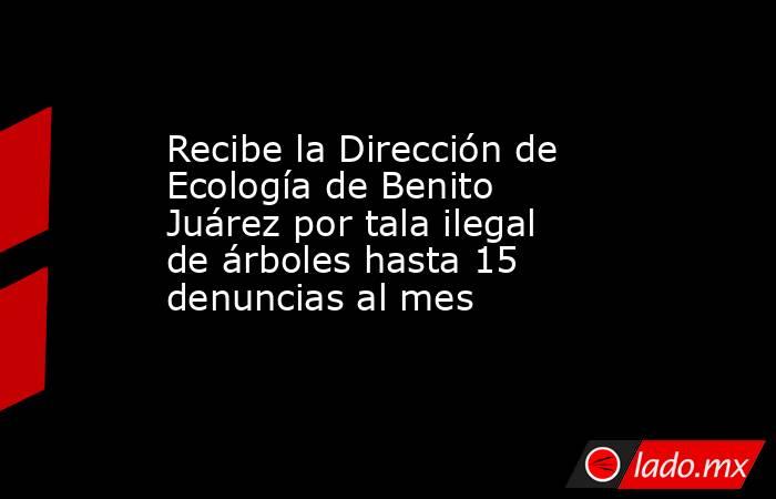 Recibe la Dirección de Ecología de Benito Juárez por tala ilegal de árboles hasta 15 denuncias al mes. Noticias en tiempo real