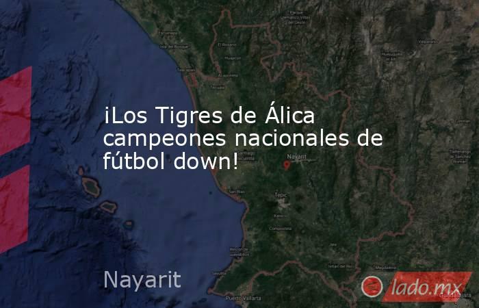 ¡Los Tigres de Álica campeones nacionales de fútbol down!. Noticias en tiempo real