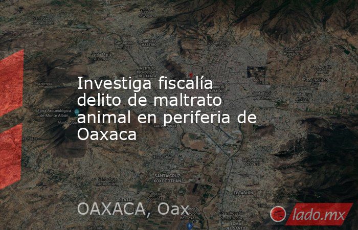 Investiga fiscalía delito de maltrato animal en periferia de Oaxaca. Noticias en tiempo real