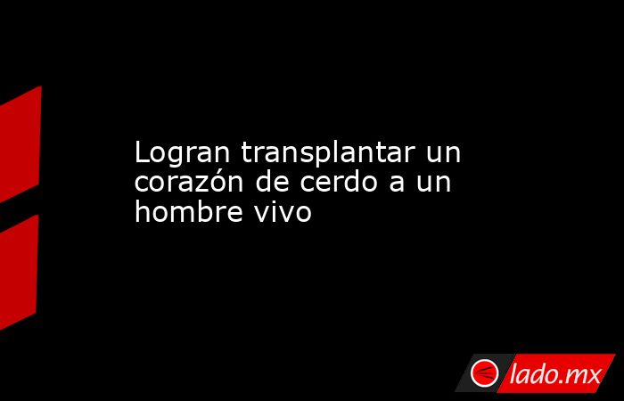 Logran transplantar un corazón de cerdo a un hombre vivo. Noticias en tiempo real