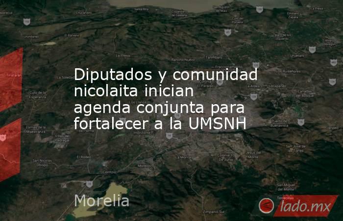 Diputados y comunidad nicolaita inician agenda conjunta para fortalecer a la UMSNH. Noticias en tiempo real