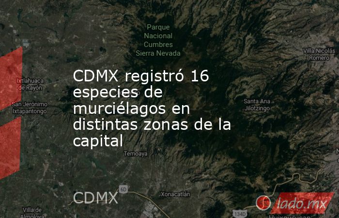 CDMX registró 16 especies de murciélagos en distintas zonas de la capital. Noticias en tiempo real