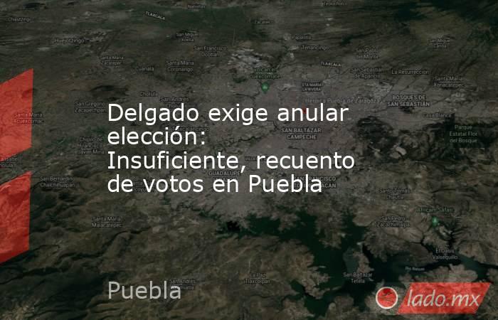 Delgado exige anular elección: Insuficiente, recuento de votos en Puebla. Noticias en tiempo real