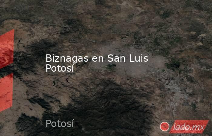 Biznagas en San Luis Potosí. Noticias en tiempo real
