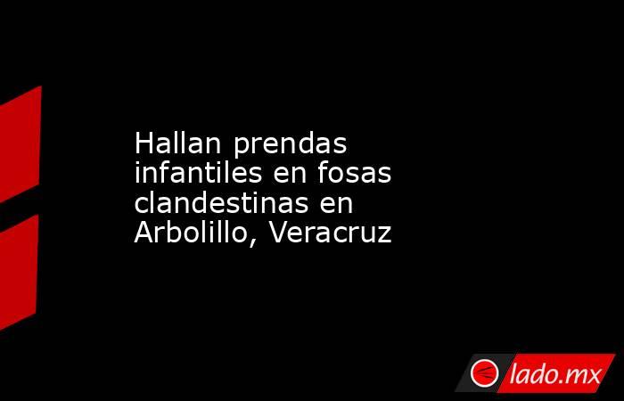 Hallan prendas infantiles en fosas clandestinas en Arbolillo, Veracruz. Noticias en tiempo real