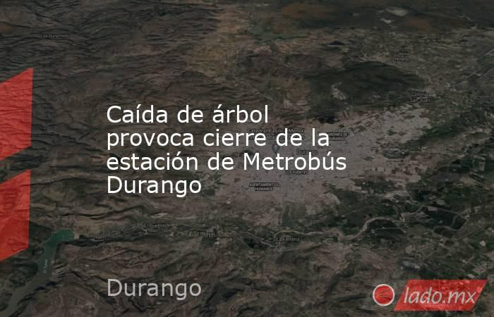 Caída de árbol provoca cierre de la estación de Metrobús Durango. Noticias en tiempo real
