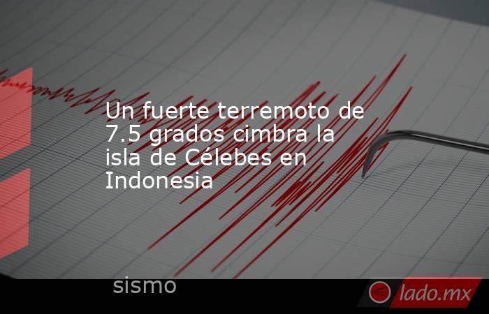 Un fuerte terremoto de 7.5 grados cimbra la isla de Célebes en Indonesia. Noticias en tiempo real