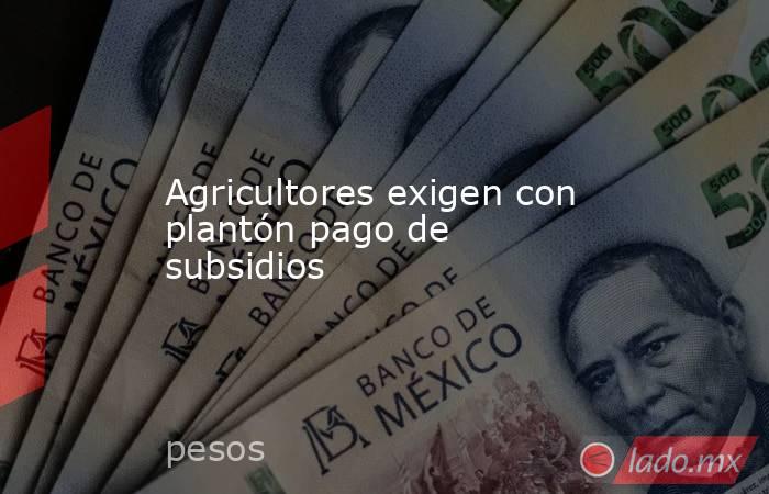 Agricultores exigen con plantón pago de subsidios. Noticias en tiempo real