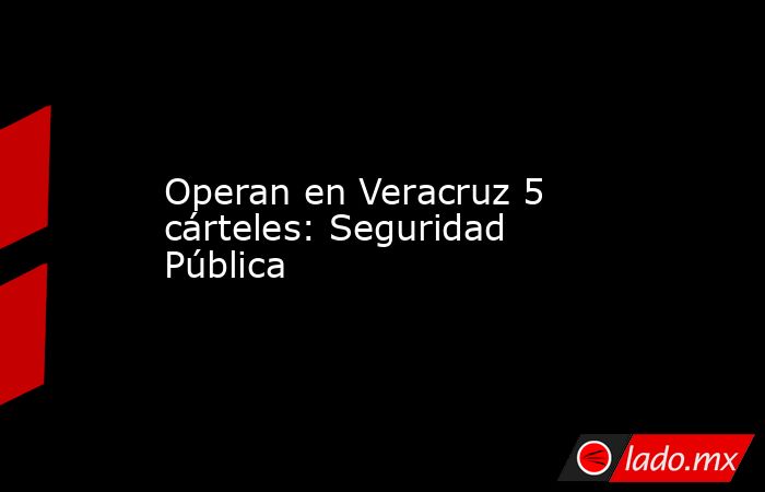 Operan en Veracruz 5 cárteles: Seguridad Pública. Noticias en tiempo real