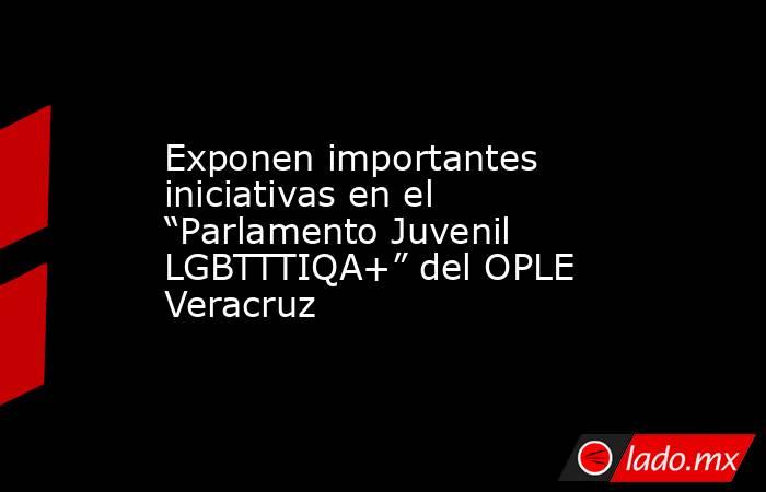 Exponen importantes iniciativas en el “Parlamento Juvenil LGBTTTIQA+” del OPLE Veracruz. Noticias en tiempo real