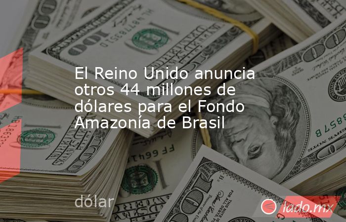 El Reino Unido anuncia otros 44 millones de dólares para el Fondo Amazonía de Brasil. Noticias en tiempo real