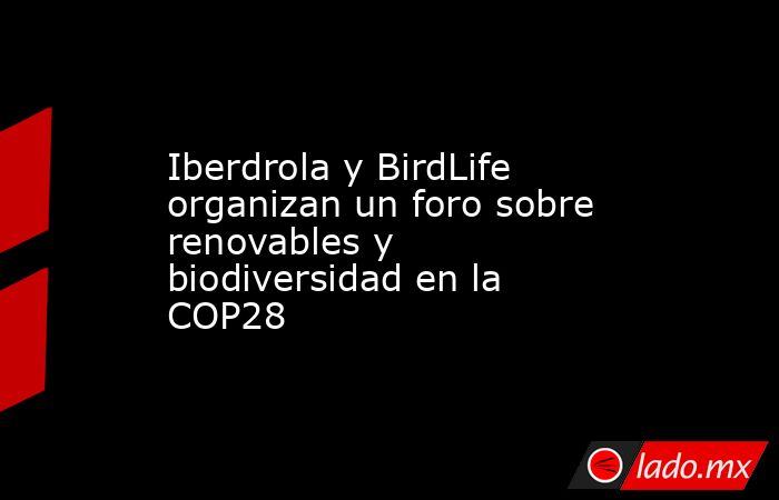 Iberdrola y BirdLife organizan un foro sobre renovables y biodiversidad en la COP28. Noticias en tiempo real