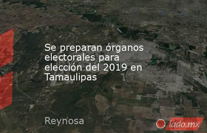 Se preparan órganos electorales para elección del 2019 en Tamaulipas. Noticias en tiempo real