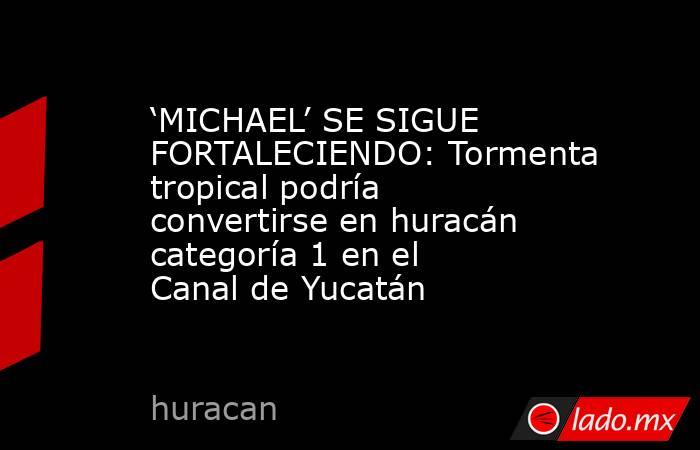 ‘MICHAEL’ SE SIGUE FORTALECIENDO: Tormenta tropical podría convertirse en huracán categoría 1 en el Canal de Yucatán. Noticias en tiempo real