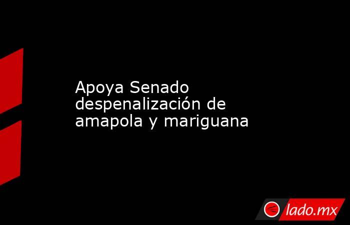 Apoya Senado despenalización de amapola y mariguana. Noticias en tiempo real